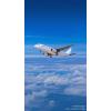 airlinetravels