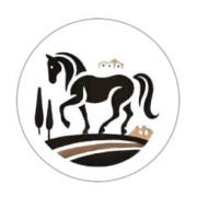 Praktikum Pferdegestützte Therapie &amp; Persönlichkeitsentwicklung  job image